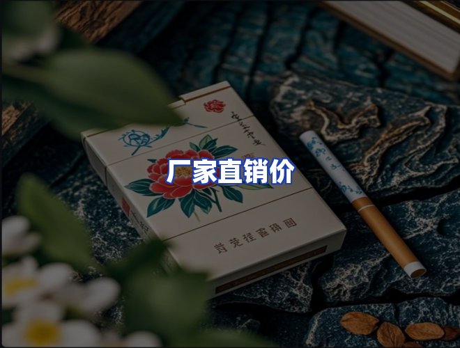专业团队
